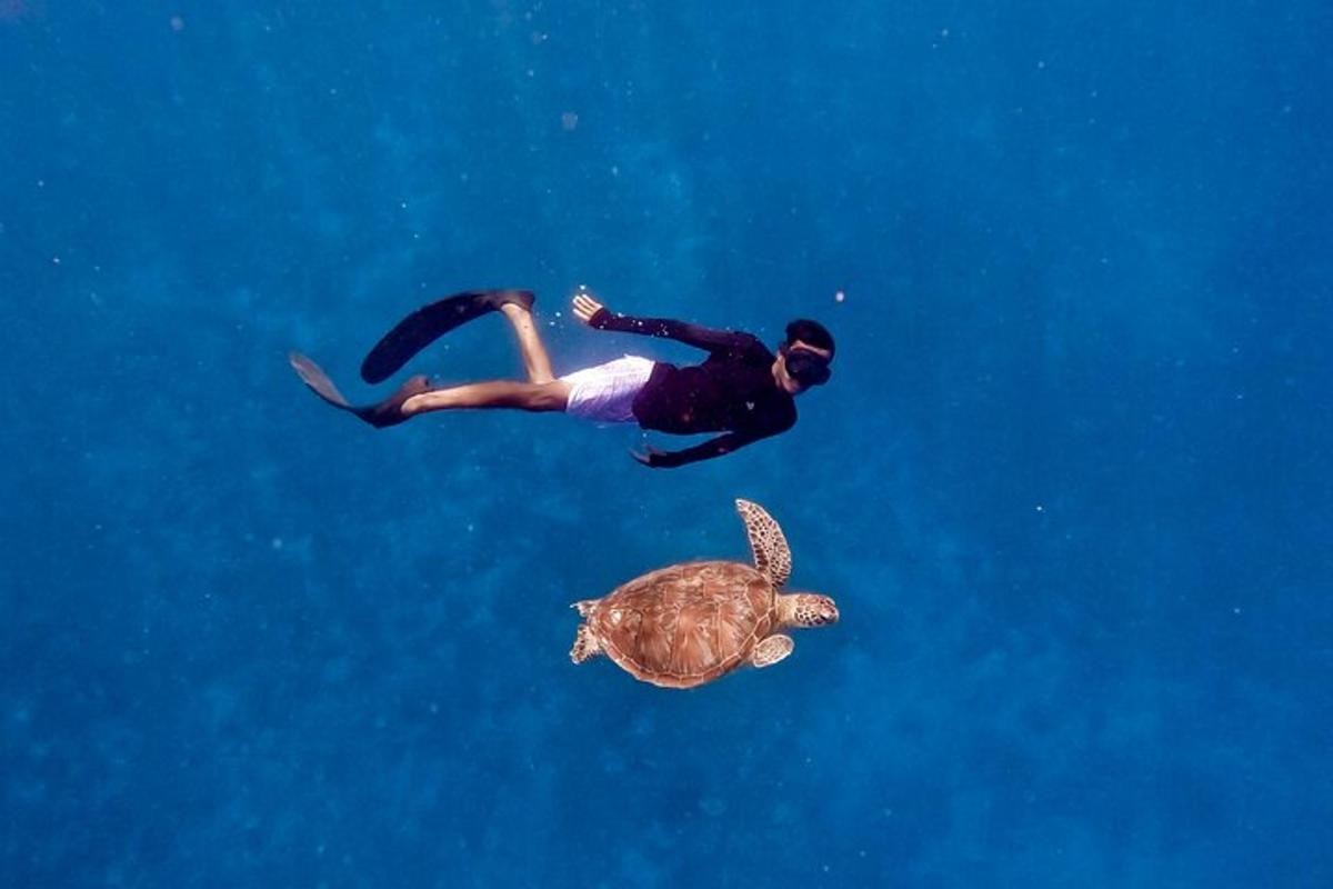 ein Mann und eine Schildkröte schwimmen im Wasser