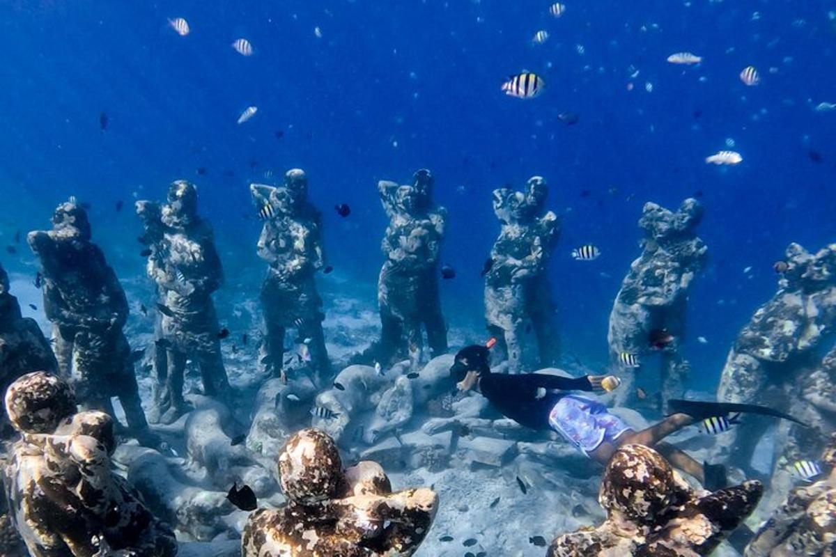 eine Gruppe von Menschen steht im Wasser und beobachtet einen Taucher