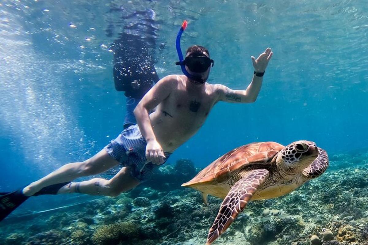 ein Mann und eine Schildkröte im Wasser