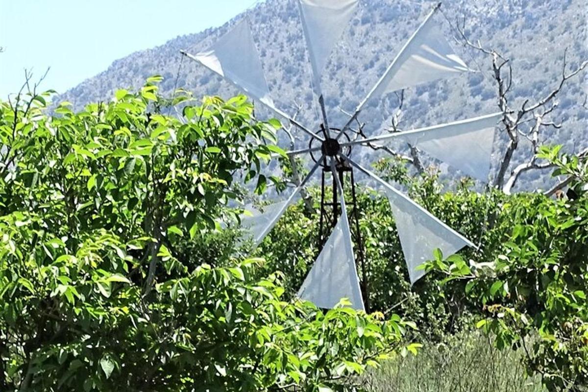 Ένας ανεμόμυλος στα δέντρα με ένα βουνό στο φόντο