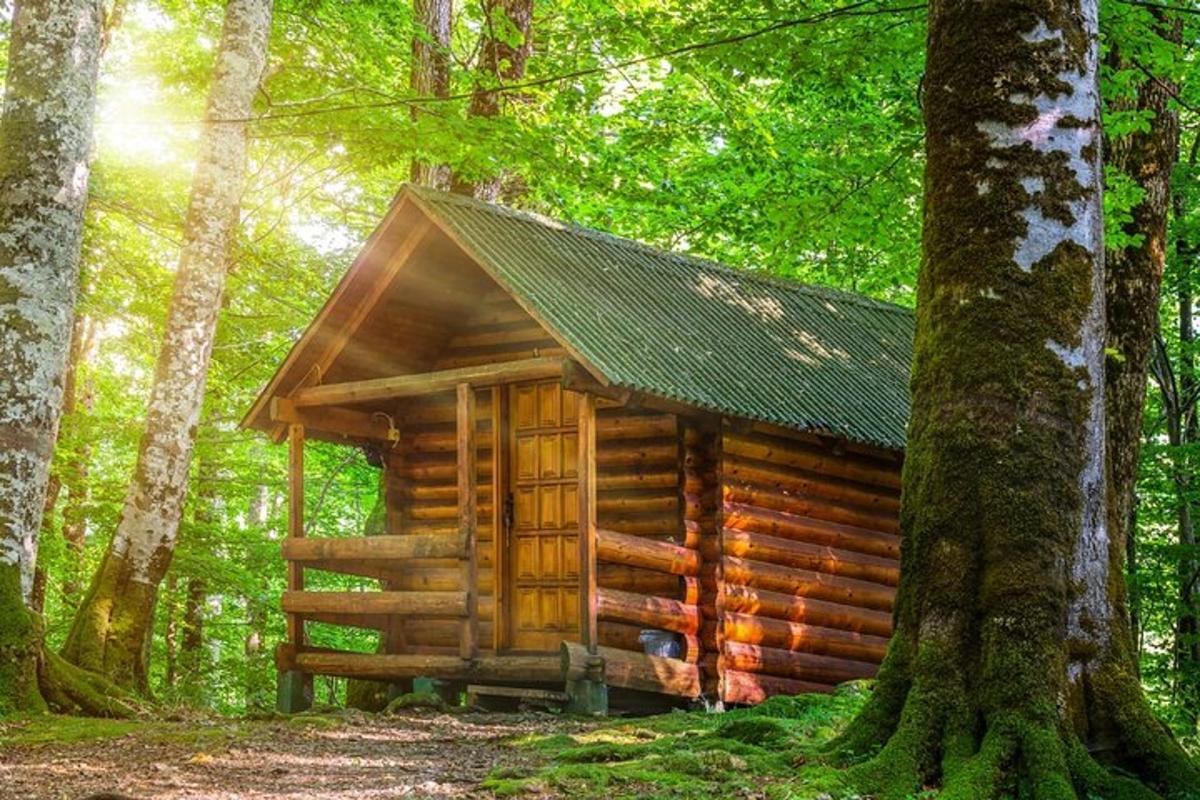 o cabană din bușteni în mijlocul pădurii