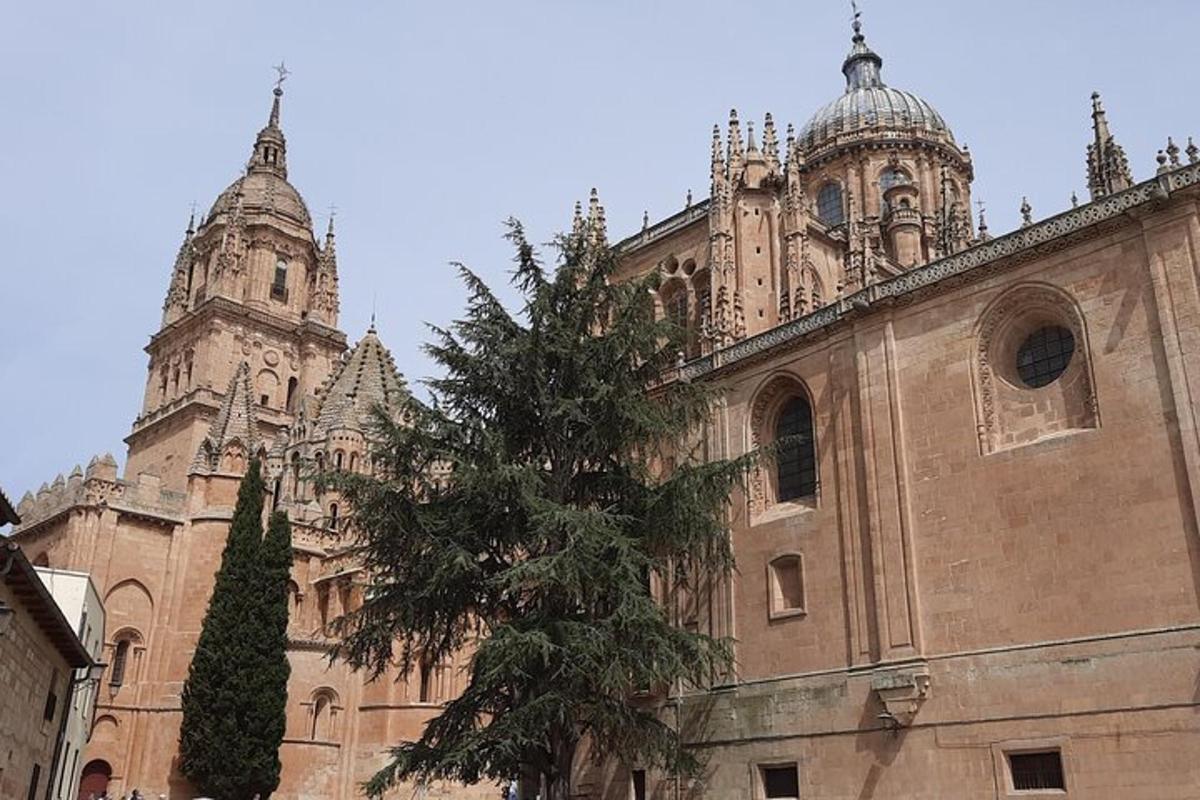 a large building with a tree in front of it