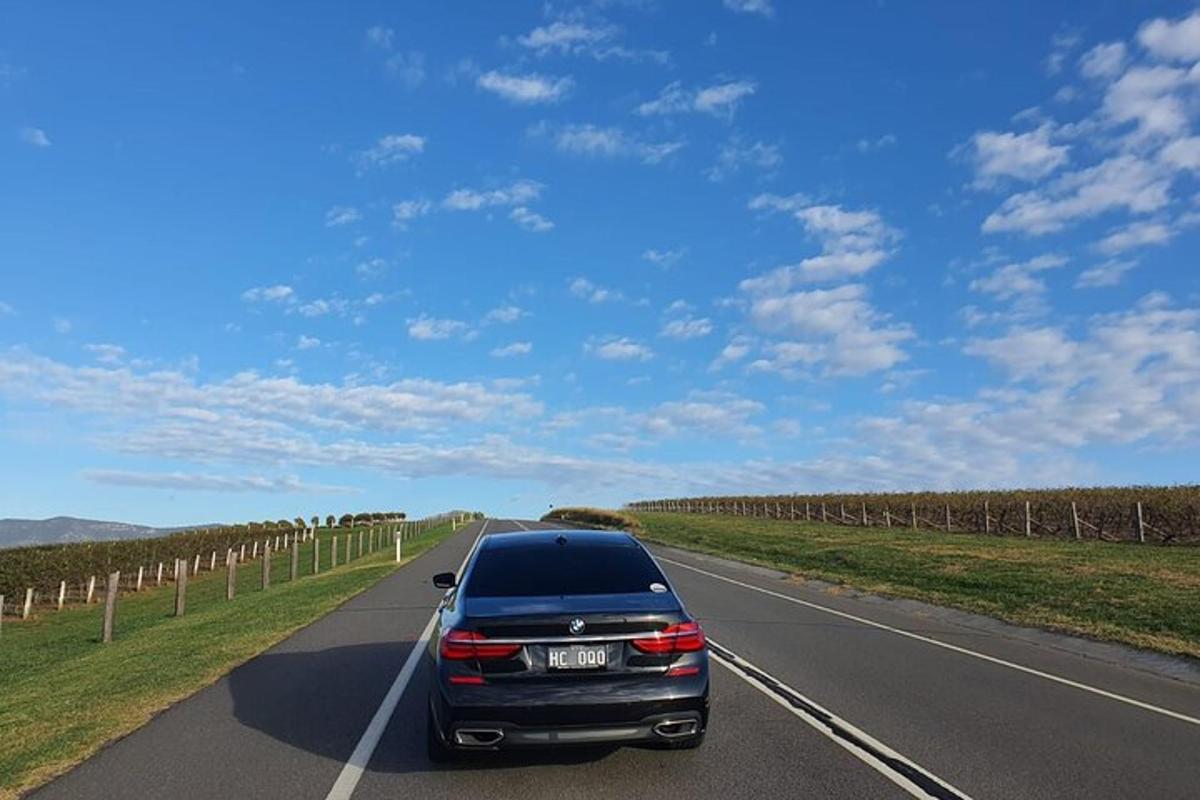 une voiture roulant sur une route dans un vignoble