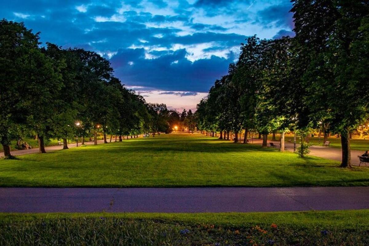 sebuah taman dengan pepohonan dan lapangan rumput