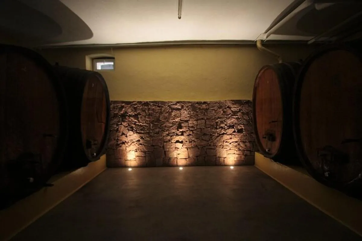 Traditional visit and tasting – photo 1