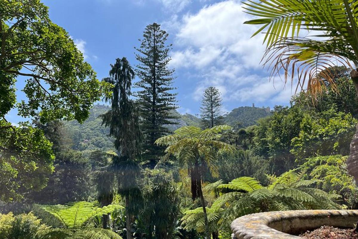 a view of a jungle with palm trees and mountains