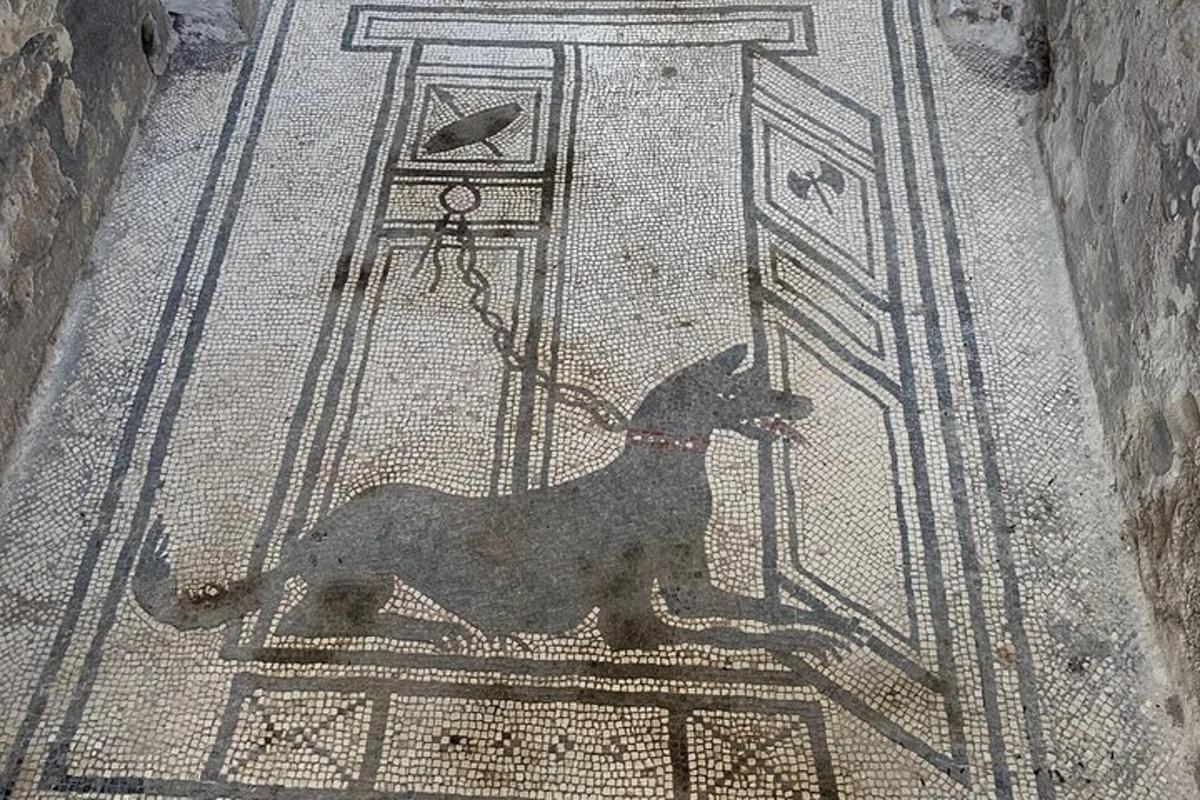 un mosaico di un cane sul pavimento di un edificio
