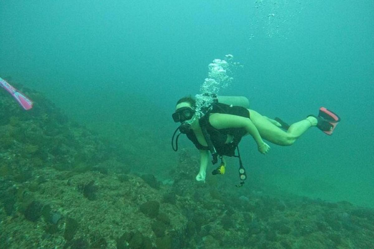 osoba v potápěčském obleku plavající v oceánu