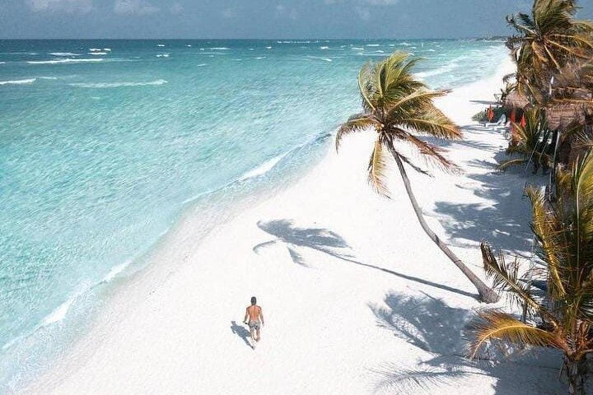 moški, ki hodi po plaži s palmo
