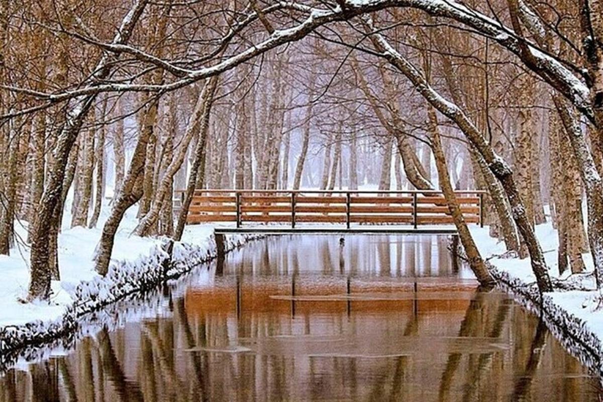 a park bench in the snow next to a pond