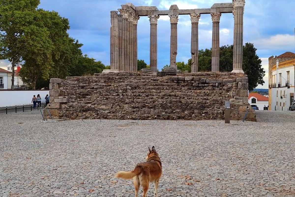 un perro parado frente a un templo