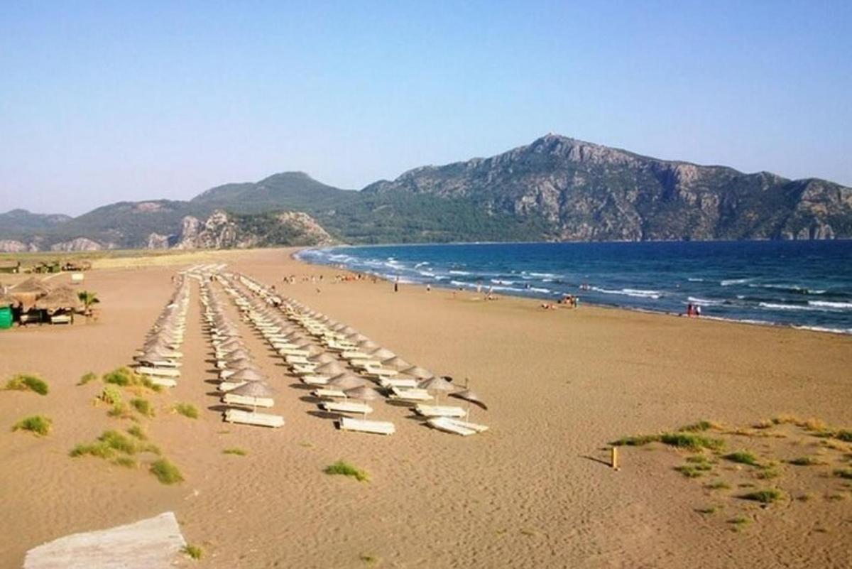 a beach with a row of lounge chairs and the ocean