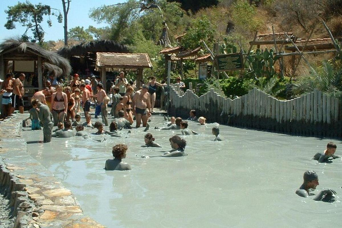a group of people swimming in a swimming pool