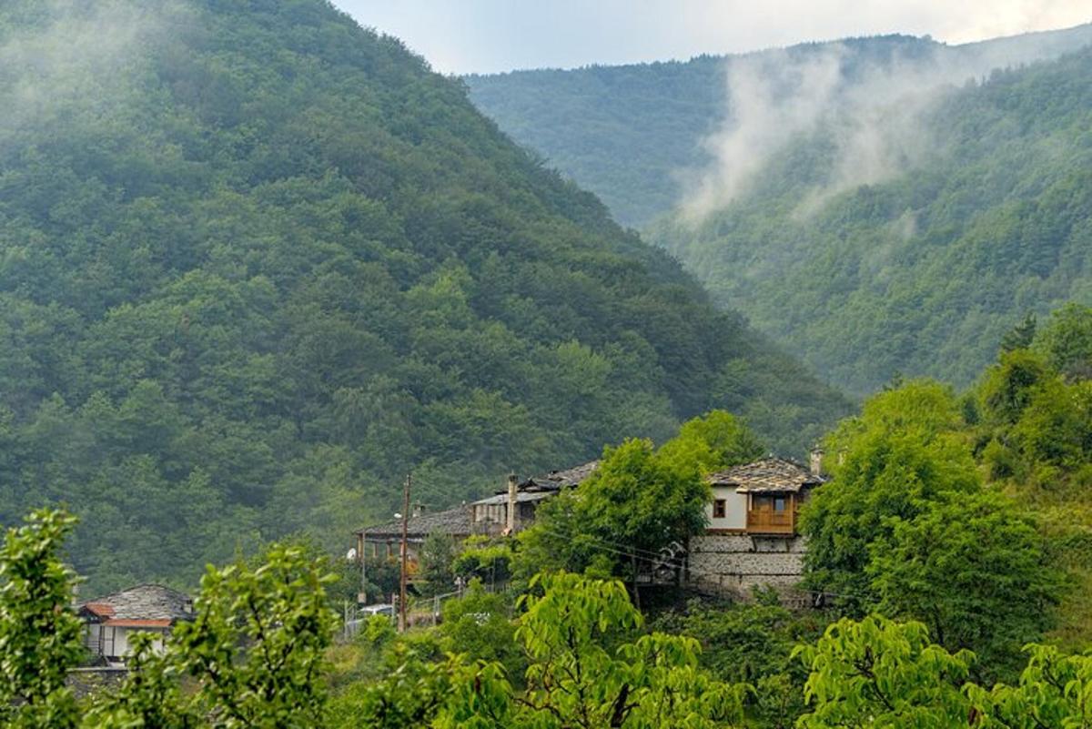 a group of houses on the side of a mountain