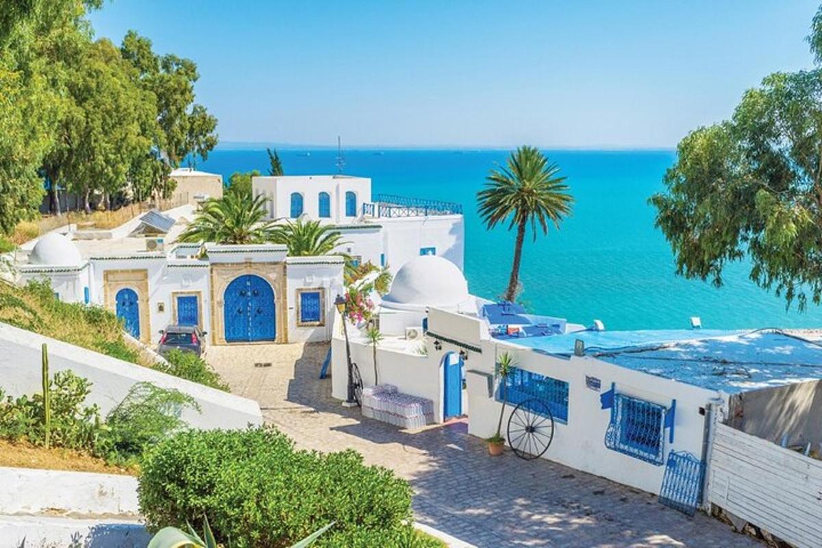 a group of white buildings with the ocean in the background