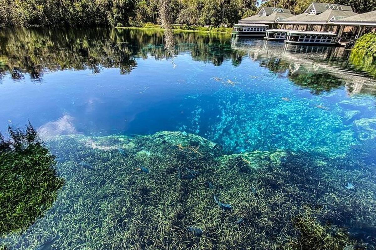 badan air dengan sekumpulan ikan di dalamnya