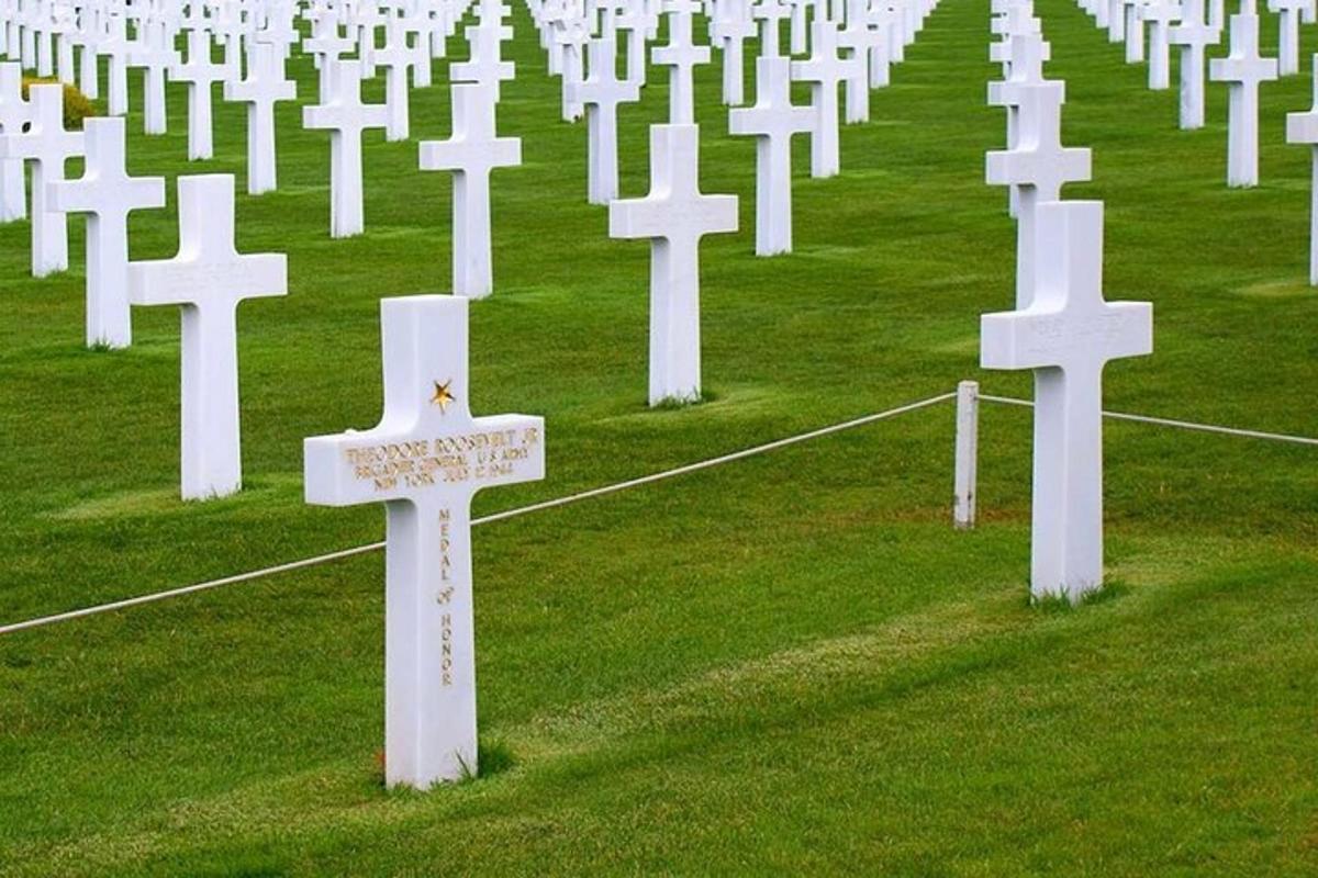 a row of white crosses in a cemetery