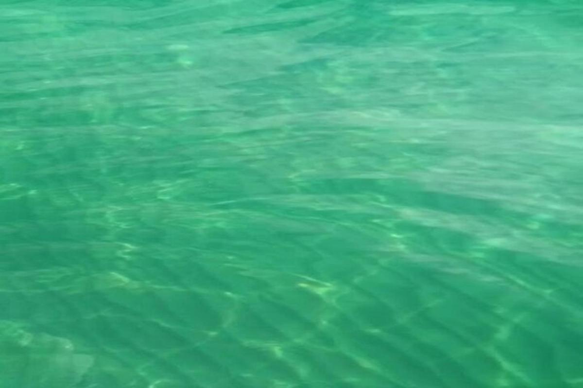 большой бассейн с зеленой водой и рябью