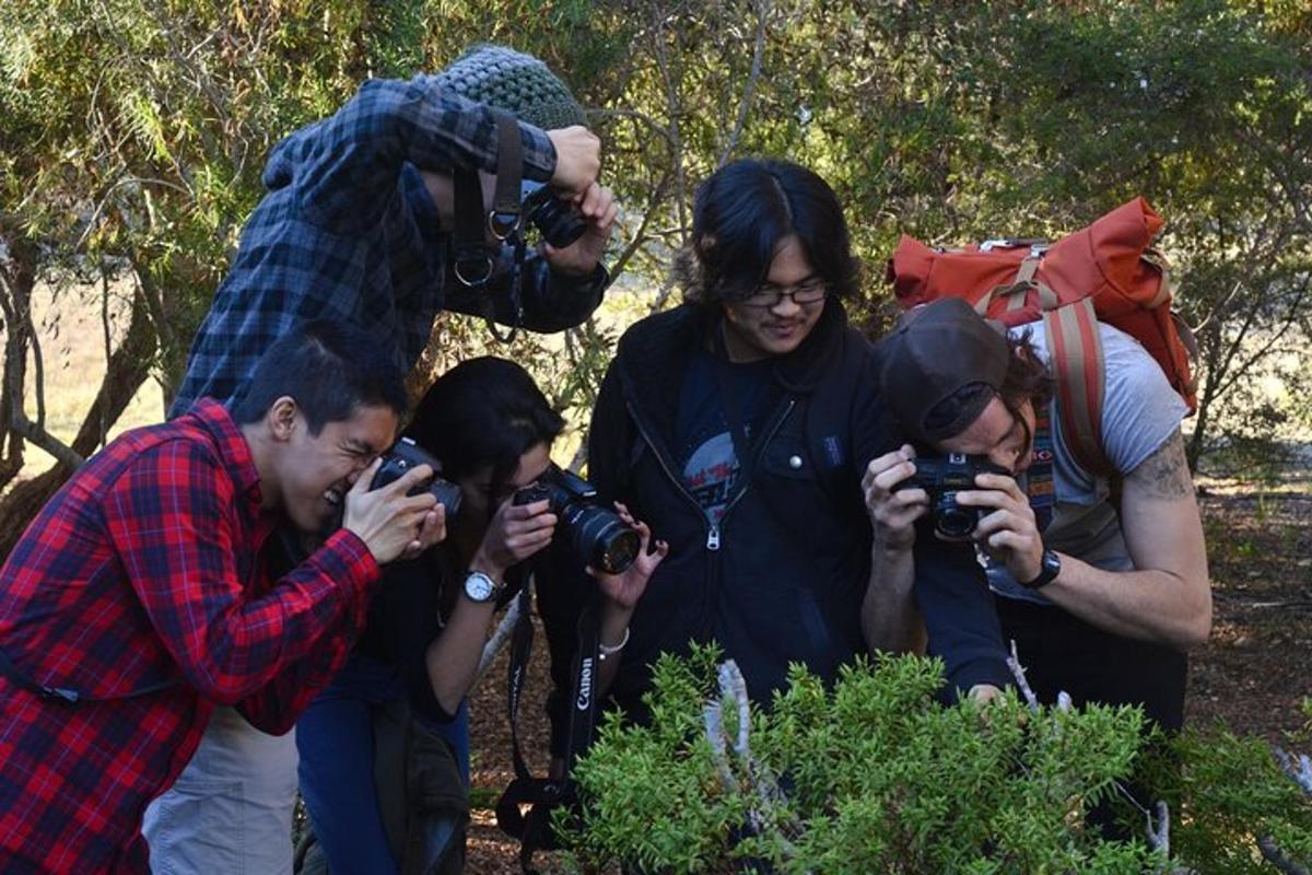 un gruppo di persone che scattano foto di un giardino