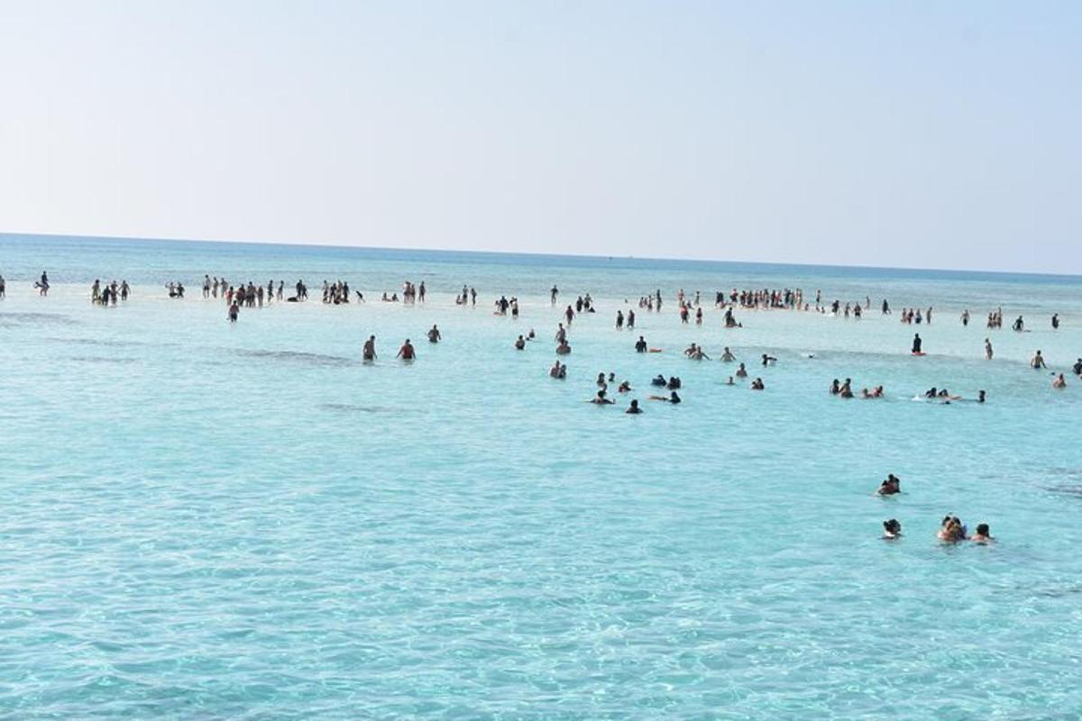 sekumpulan orang di dalam air di pantai