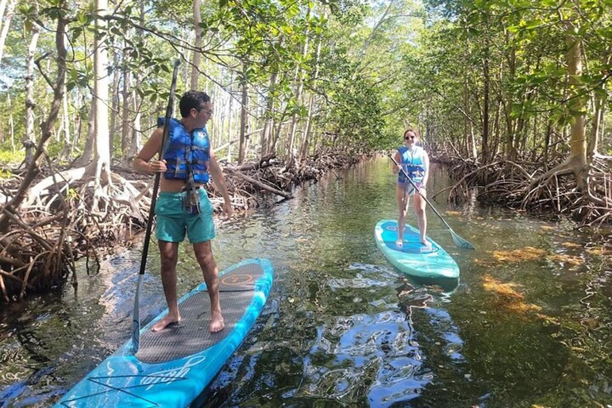 deux hommes sont debout sur des planches à pagaie dans l'eau