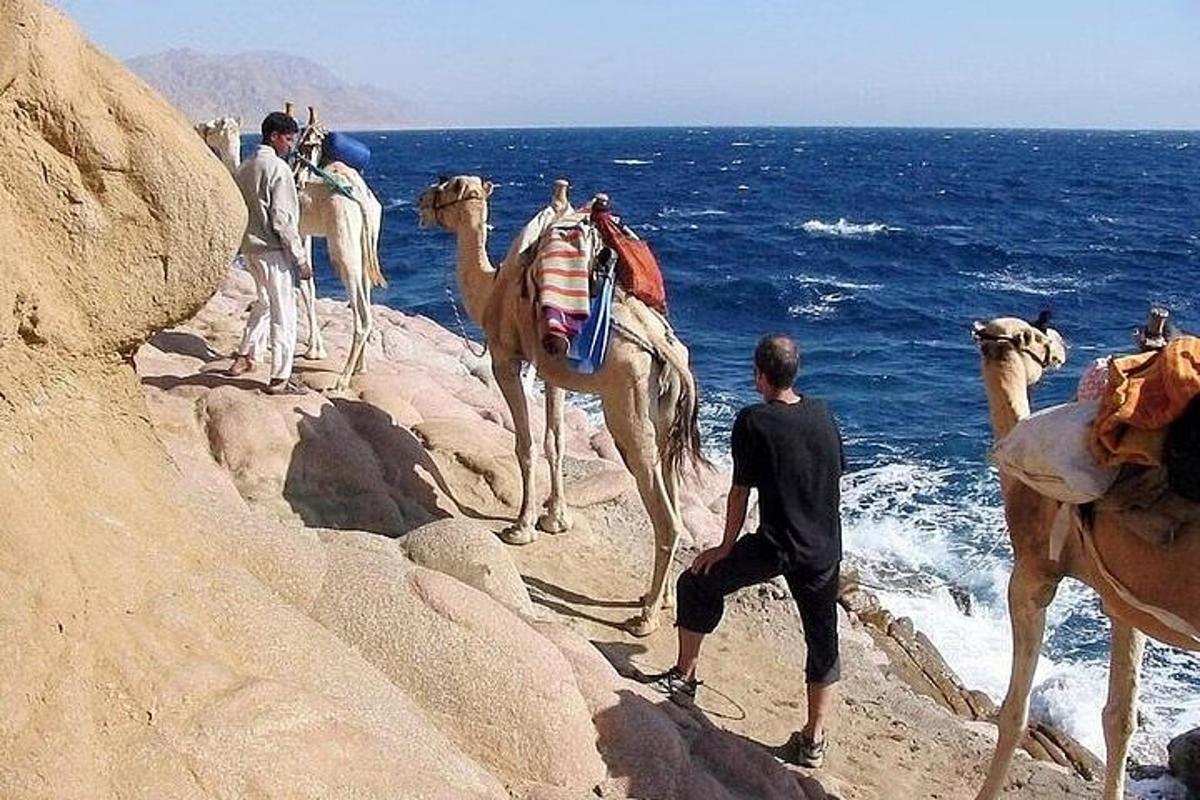 en gruppe mennesker, der rider på kameler på klipperne nær havet