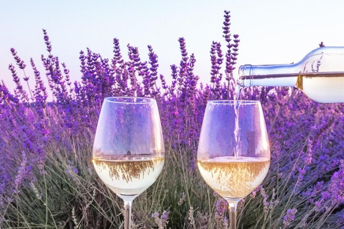 dues copes de vi blanc davant d'un camp de lavanda