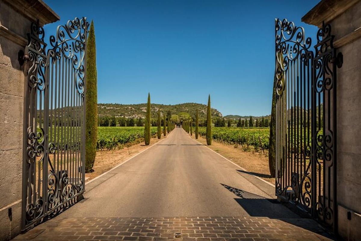 un camí buit a través d'una porta de ferro en una vinya