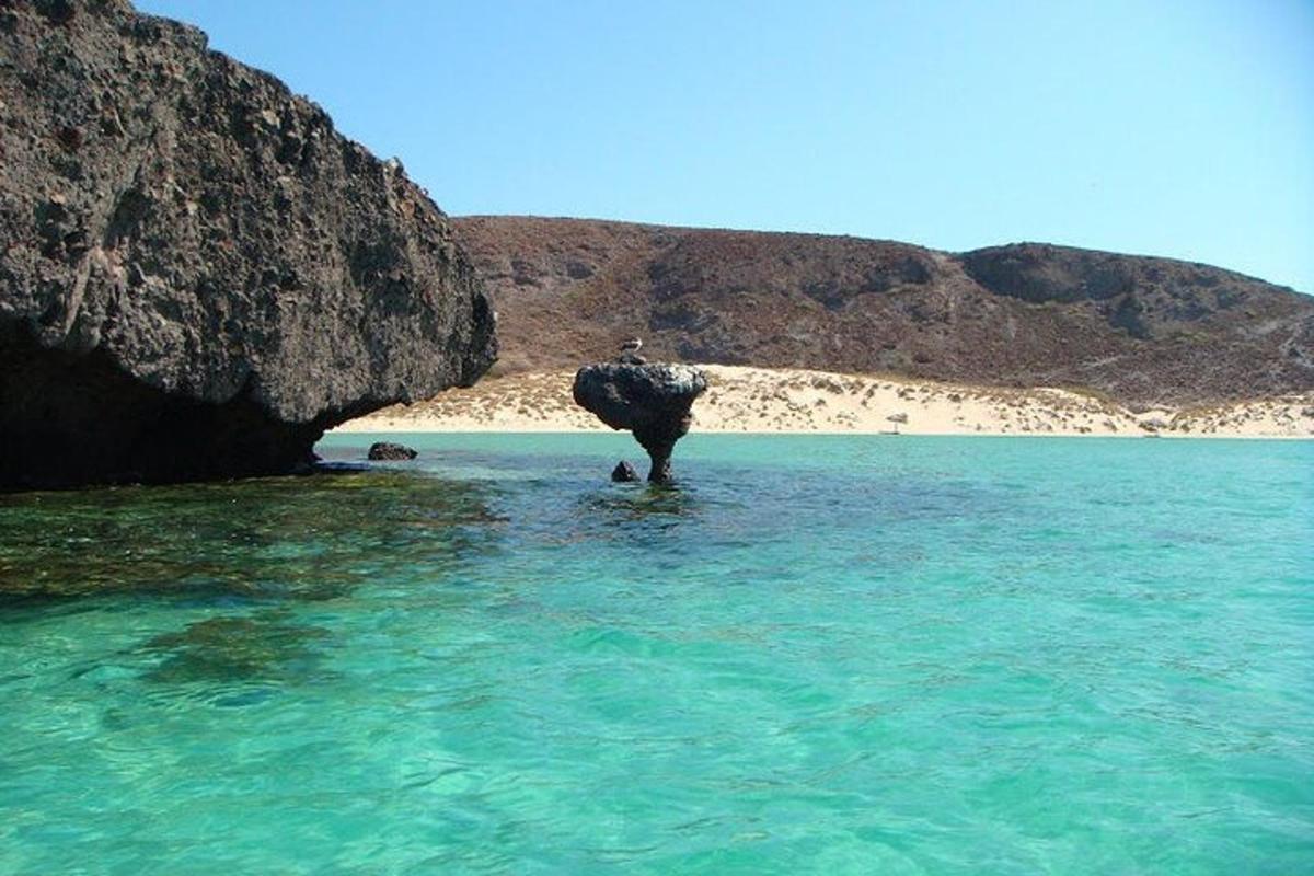 a rock in the water next to a beach