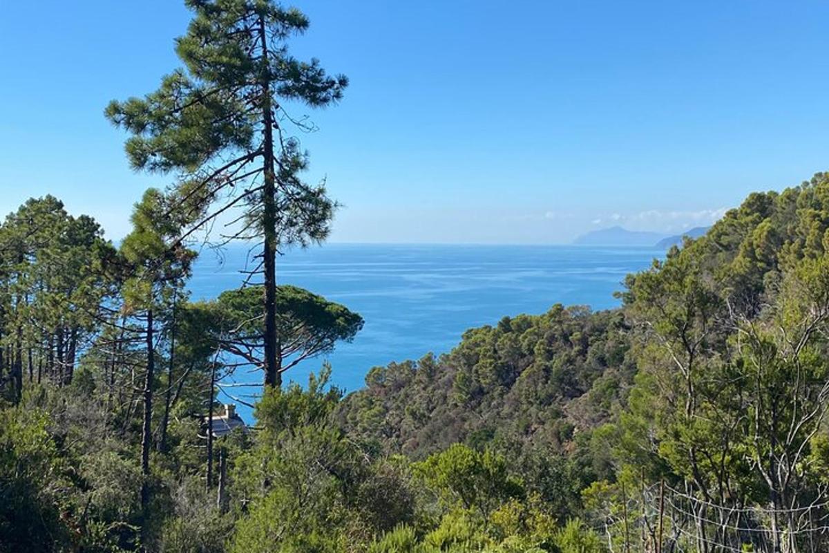 a view of the ocean from the top of a hill