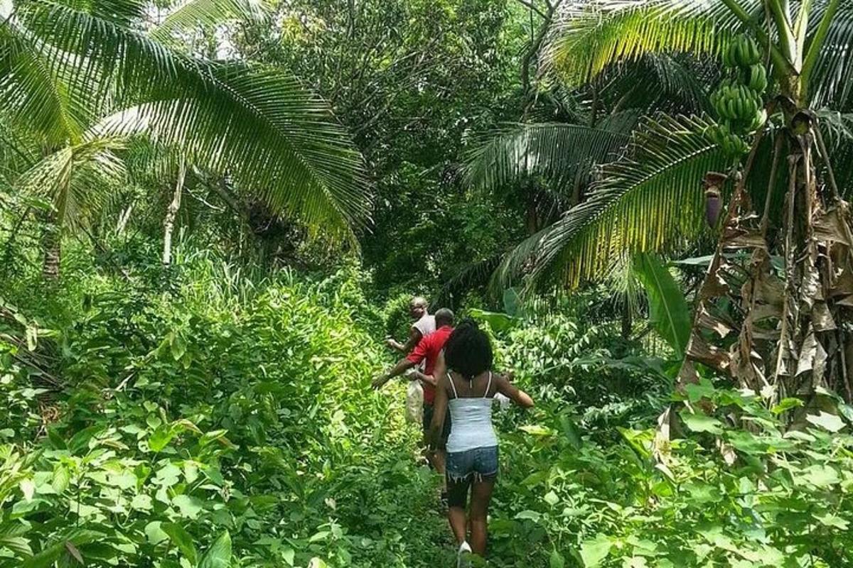 Una mujer caminando por la jungla con un niño en la espalda