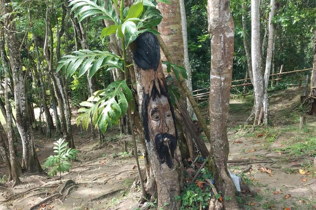 Un árbol con una cara pintada en el costado.