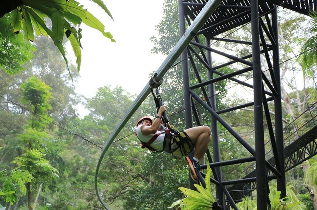 uma mulher em uma tirolesa na selva