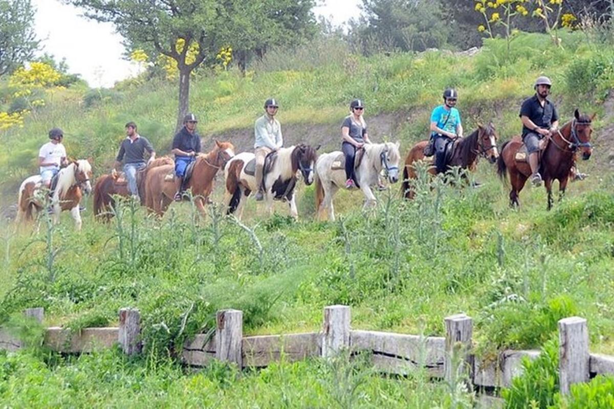 hópur fólks á hestbaki á akri