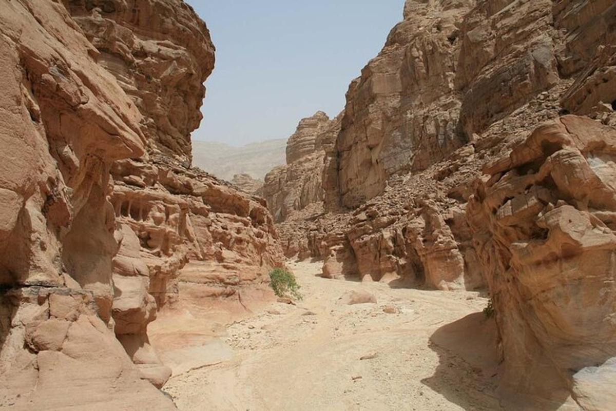 un camino de tierra en un cañón en el desierto
