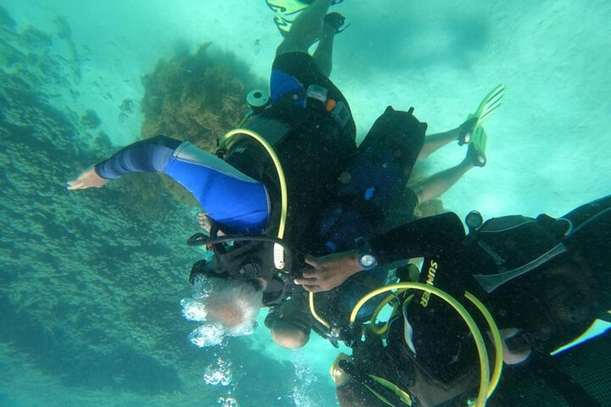 a group of people diving in the water