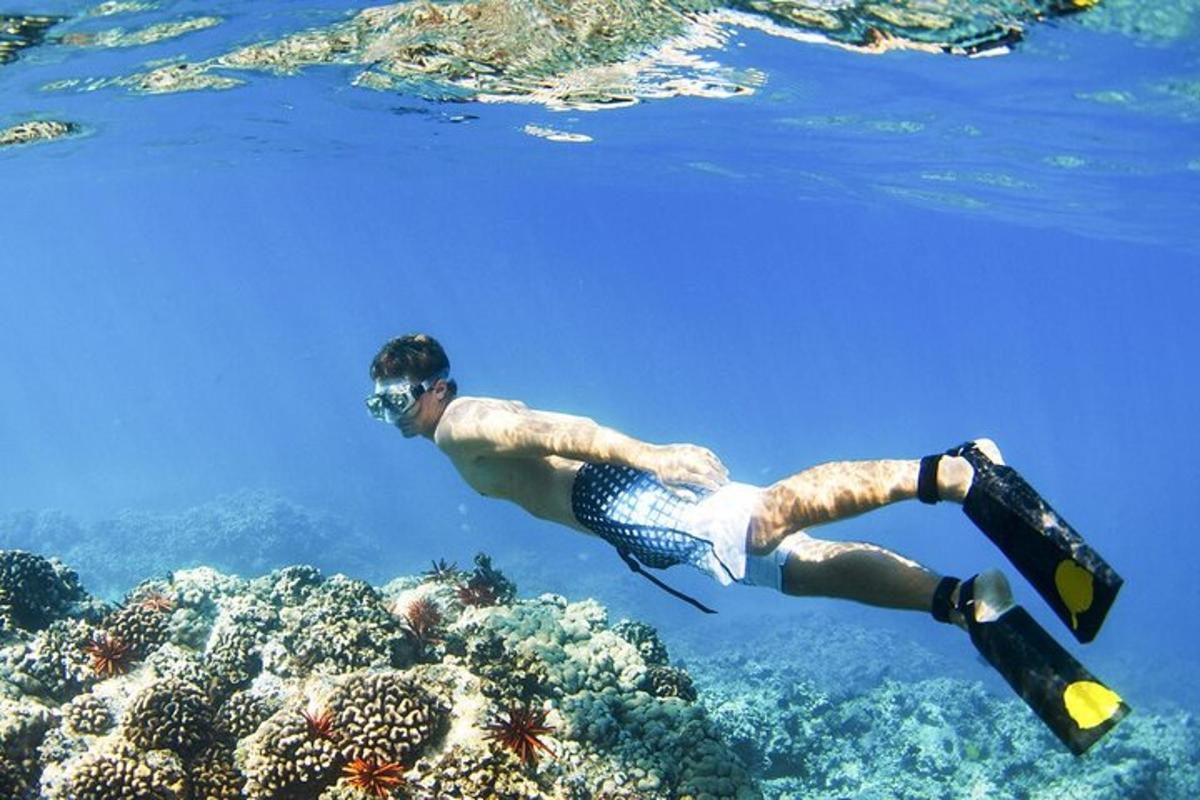 seorang lelaki di dalam air berenang di atas terumbu karang