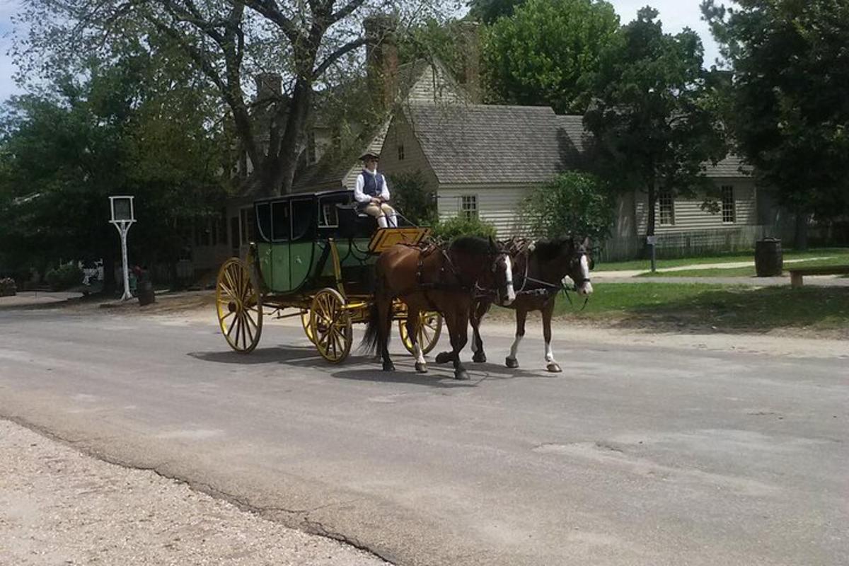 a man riding a horse drawn carriage on a street