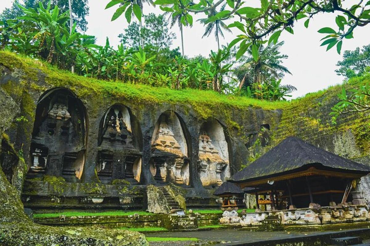 un vecchio edificio con muschio sul lato