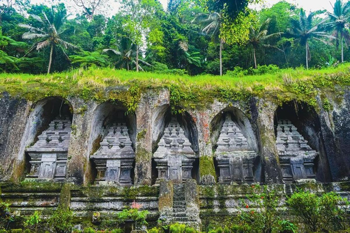 un vecchio muro di pietra con l'edera sopra