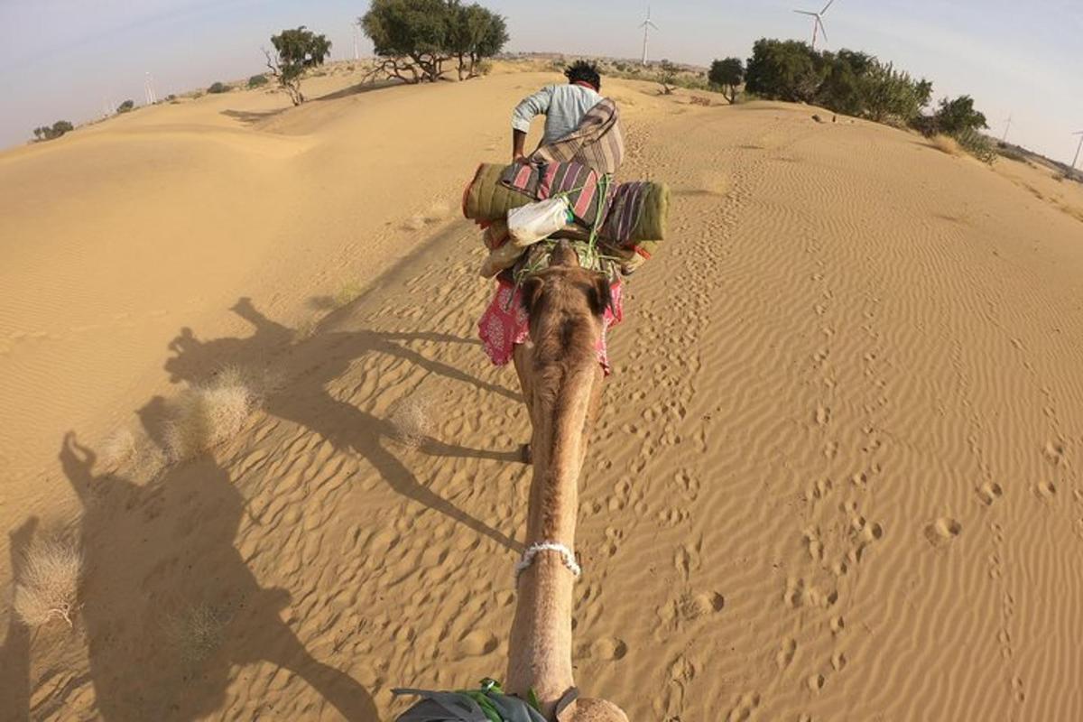 un uomo che cavalca un elefante nel deserto