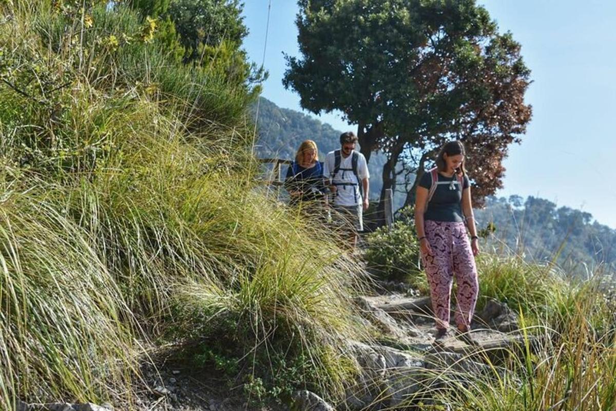 grupp inimesi, kes kõnnivad mäest üles
