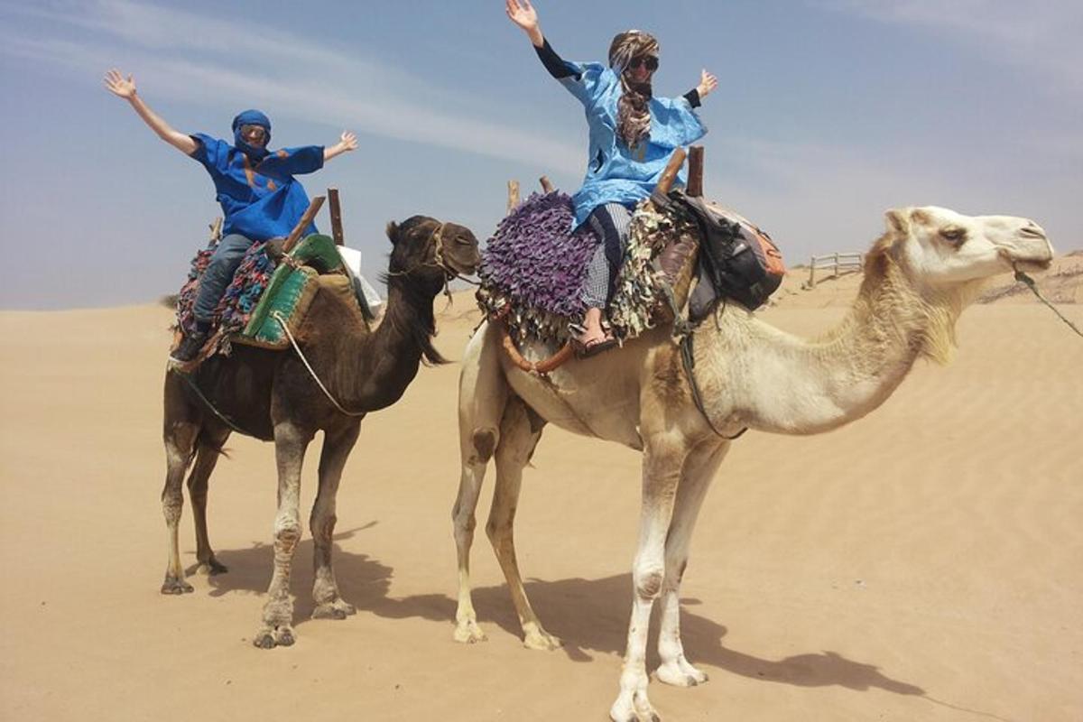 two people riding on the backs of camels in the desert