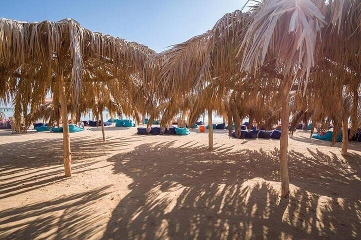 skupina palm na peščeni plaži