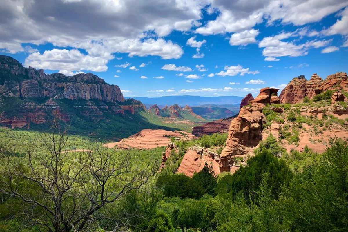una vista di un canyon con alberi e rocce