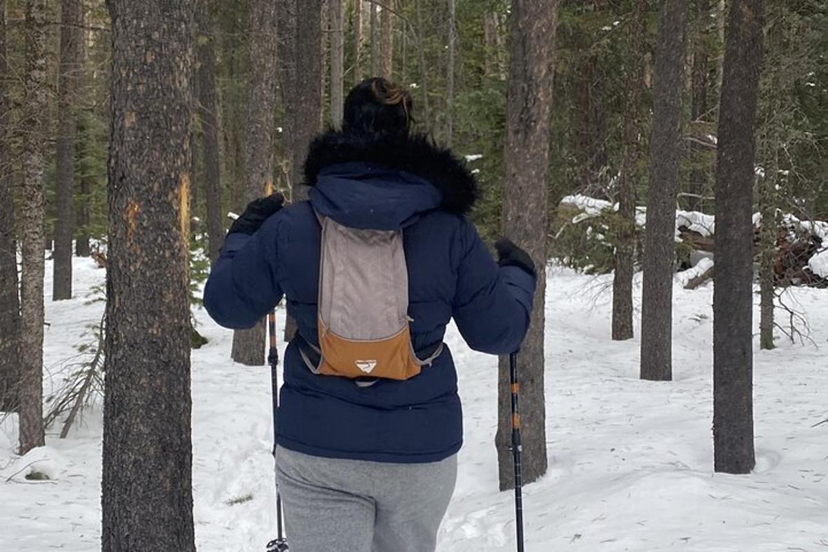 a person walking through the woods on skis