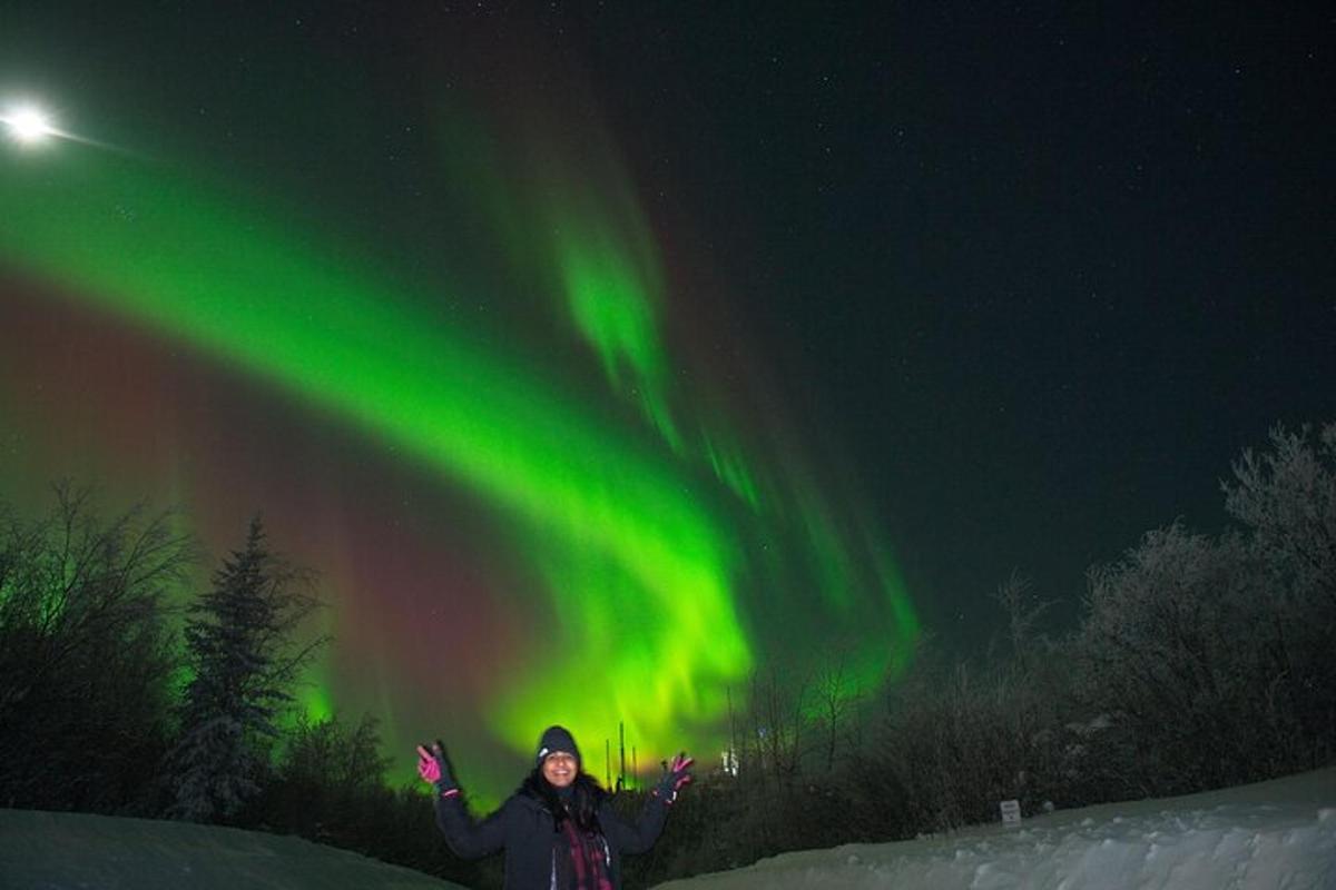a woman standing in the snow under the northern lights
