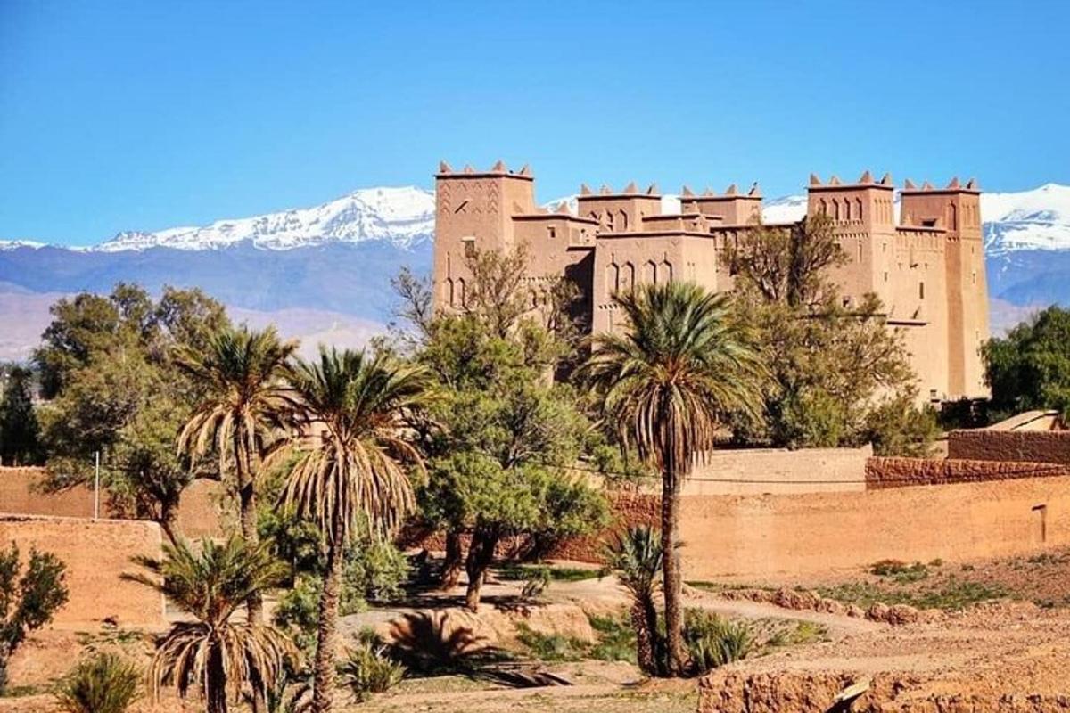 un grand château avec des palmiers devant une montagne