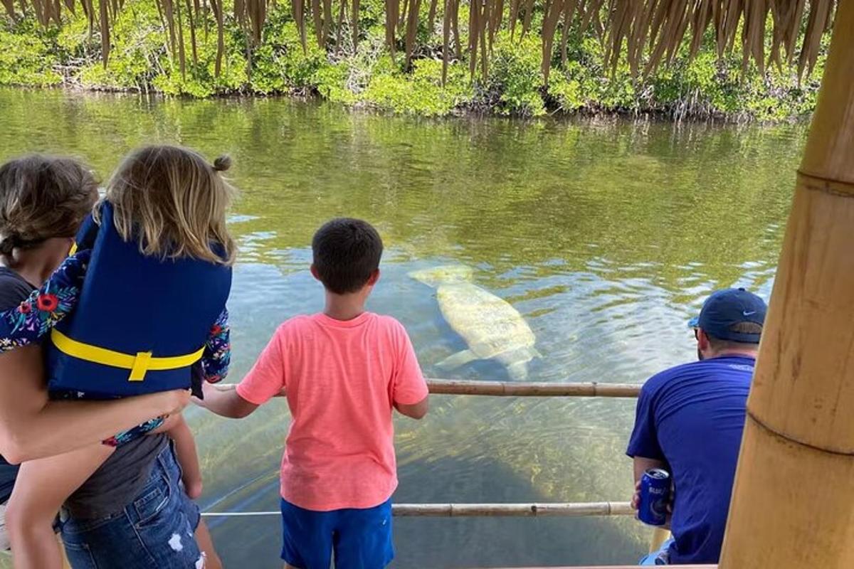 a group of people looking at aigator in the water