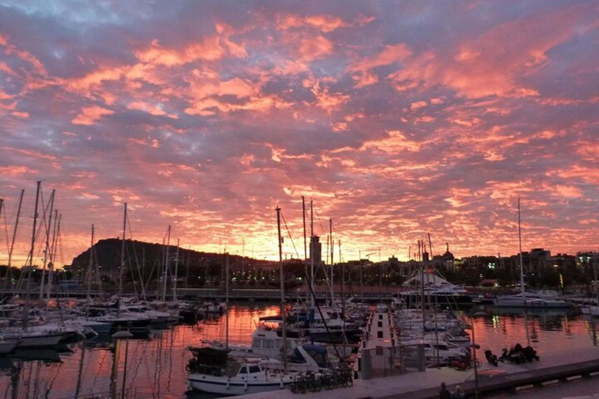 a group of boats docked in a marina at sunset